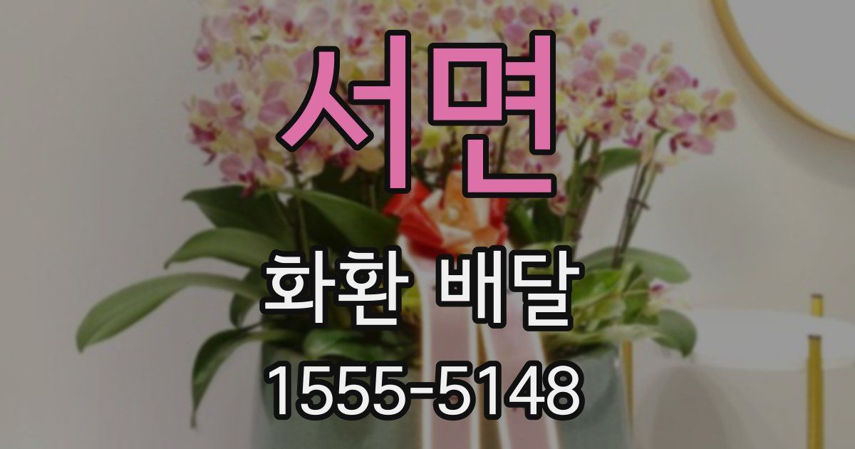 서면 화환 배달