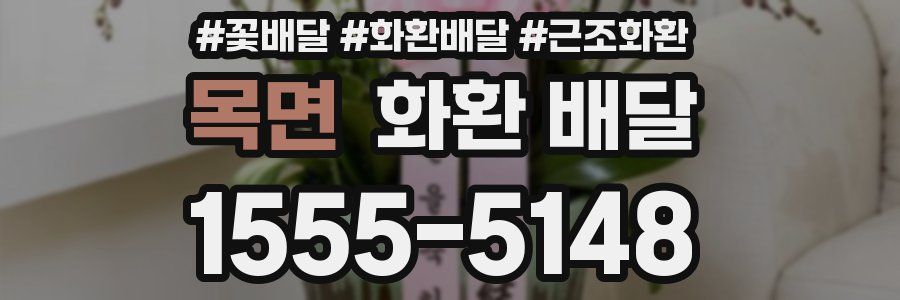 목면 화환 배달