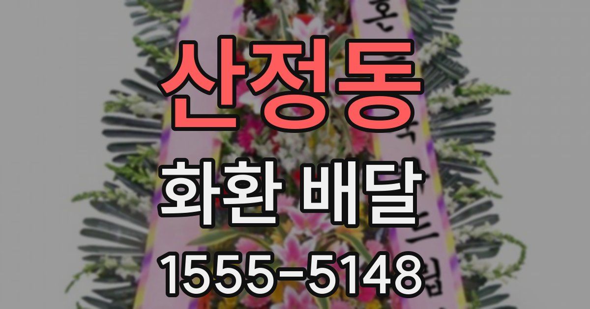 산정동 화환 배달