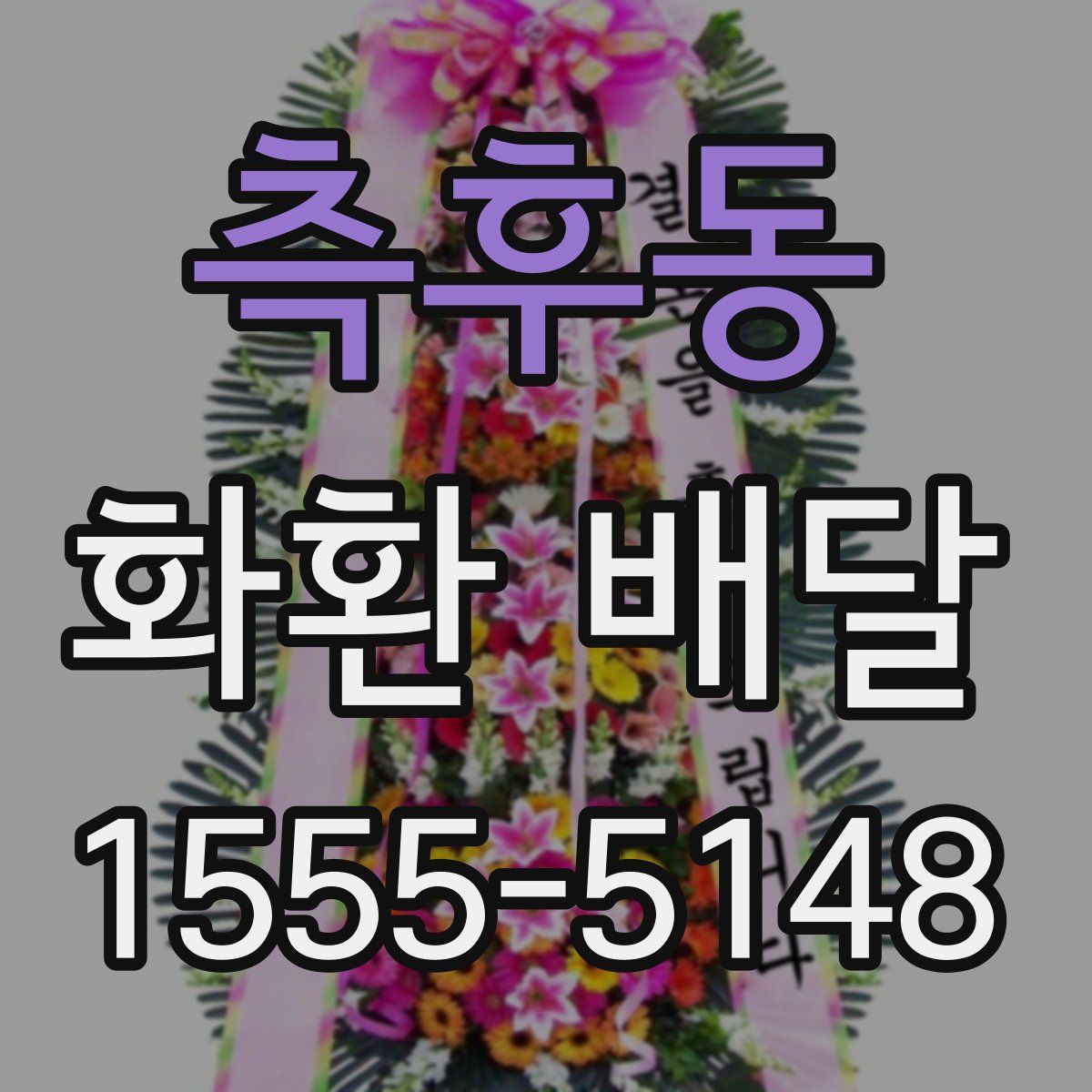 측후동 화환 배달
