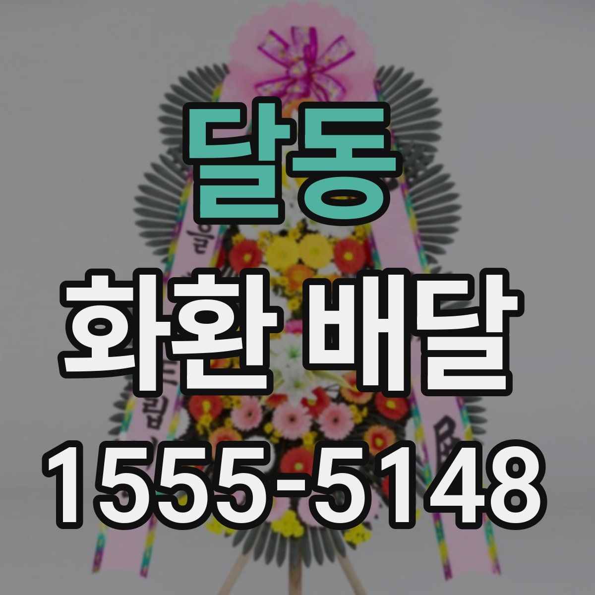 달동 화환 배달