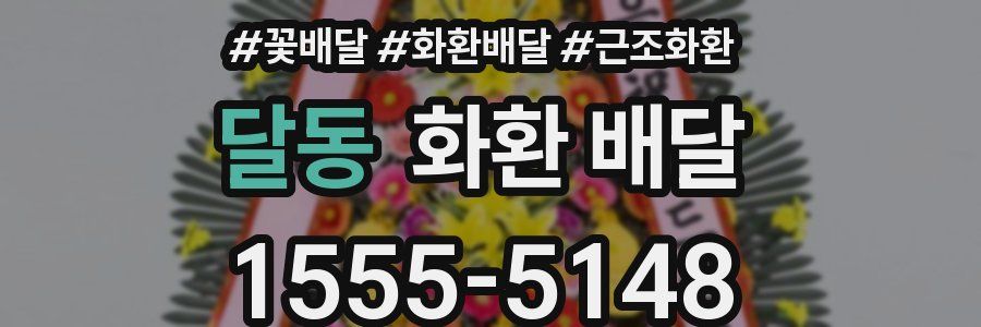 달동 화환 배달