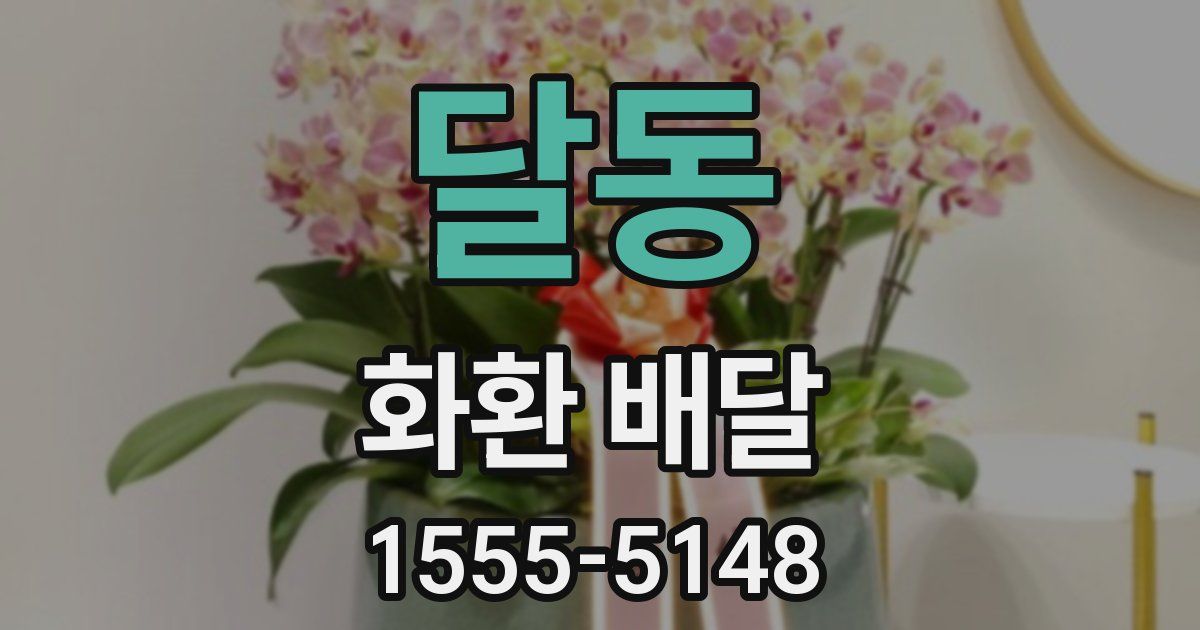 달동 화환 배달