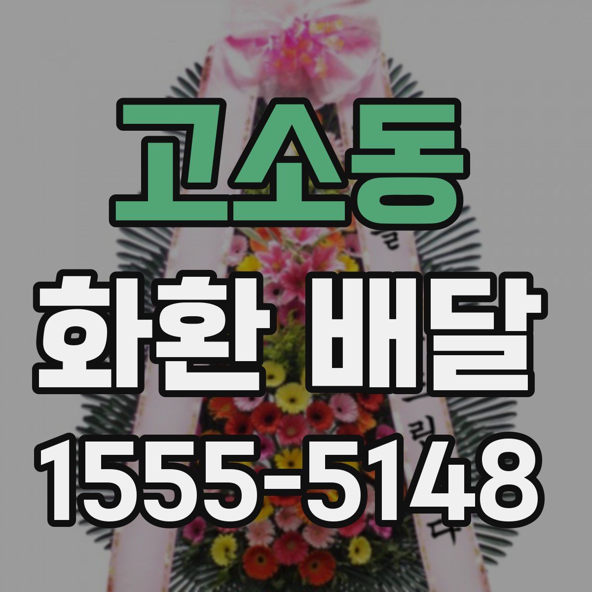 고소동 화환 배달