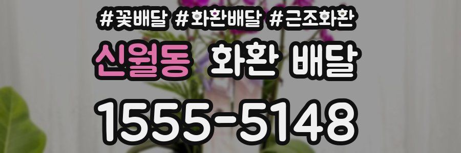 신월동 화환 배달