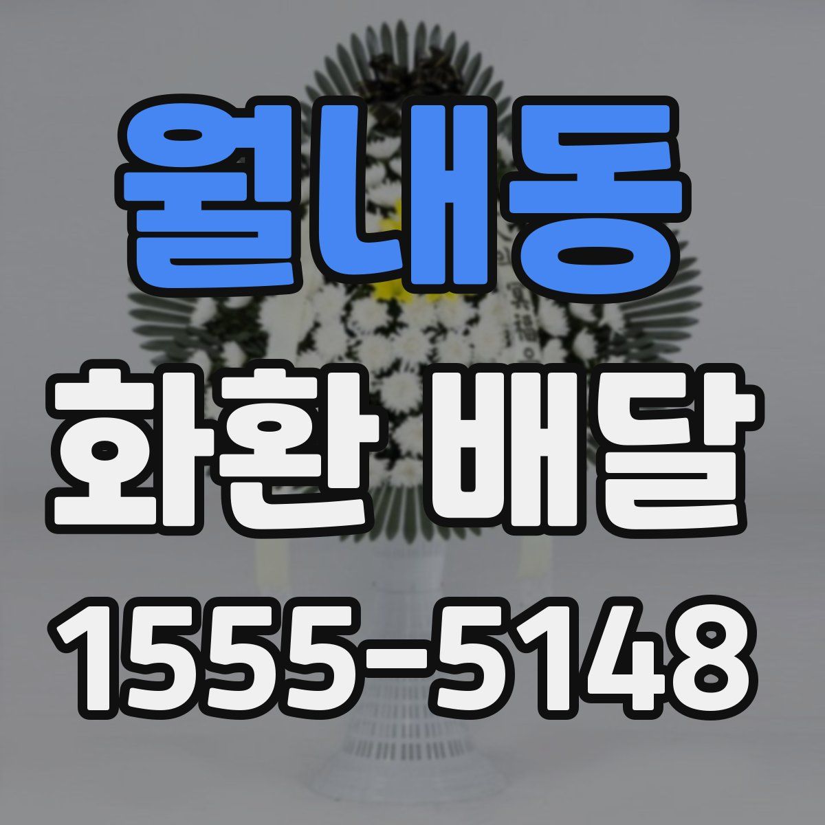 월내동 화환 배달