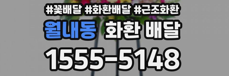 월내동 화환 배달