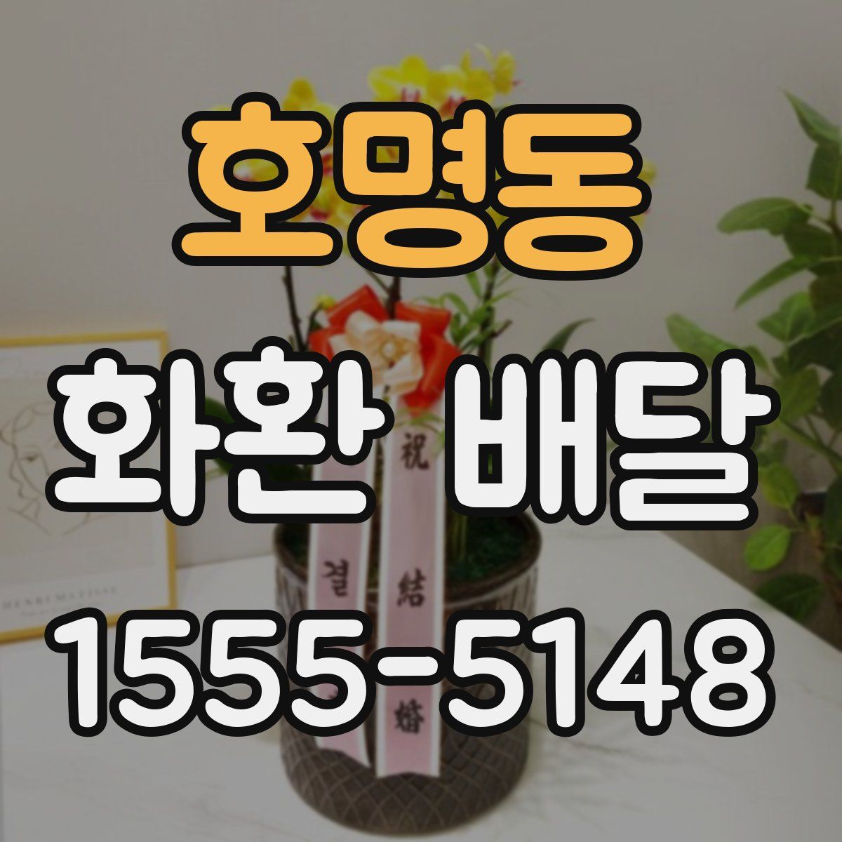 호명동 화환 배달