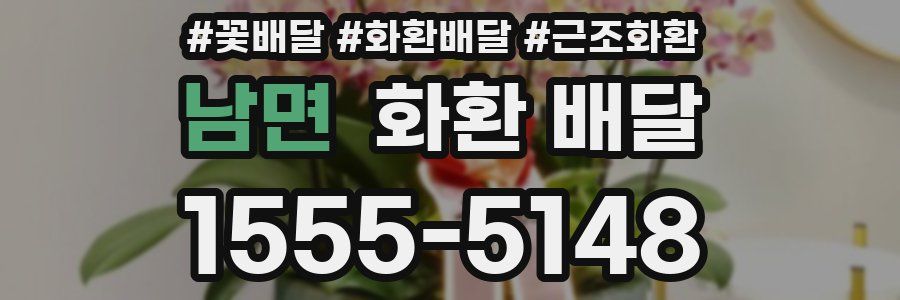 남면 화환 배달