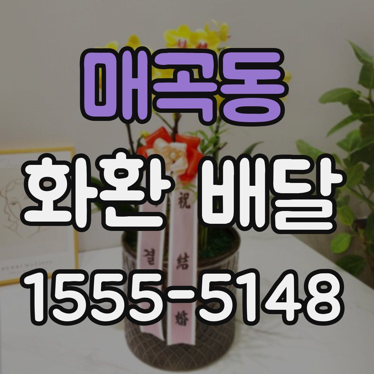 매곡동 화환 배달