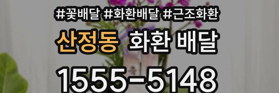 산정동 화환 배달