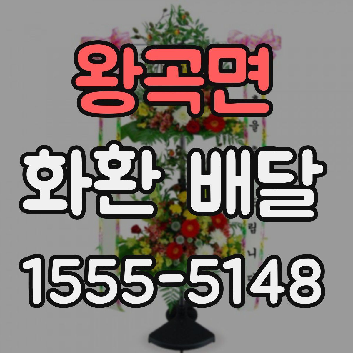 왕곡면 화환 배달