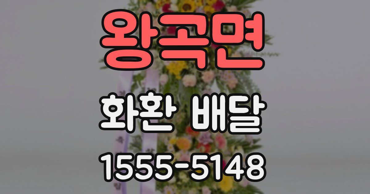 왕곡면 화환 배달