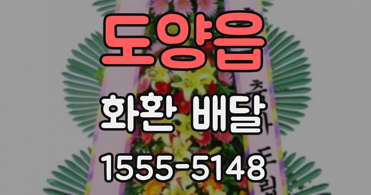 도양읍 화환 배달