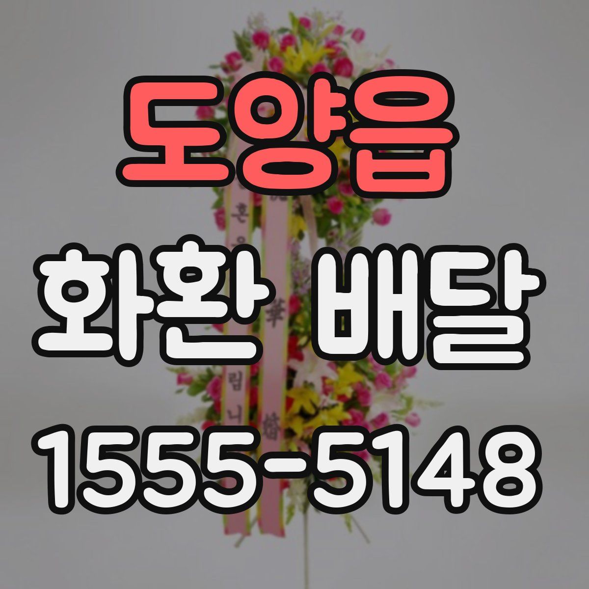 도양읍 화환 배달