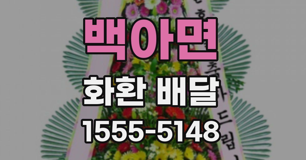 백아면 화환 배달