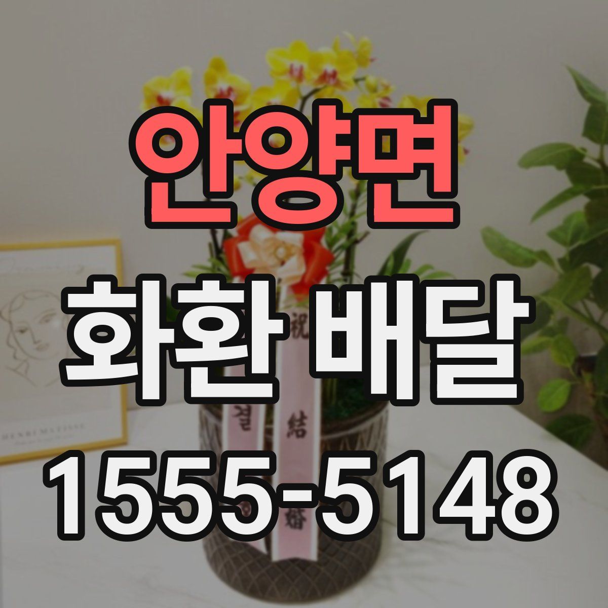 안양면 화환 배달