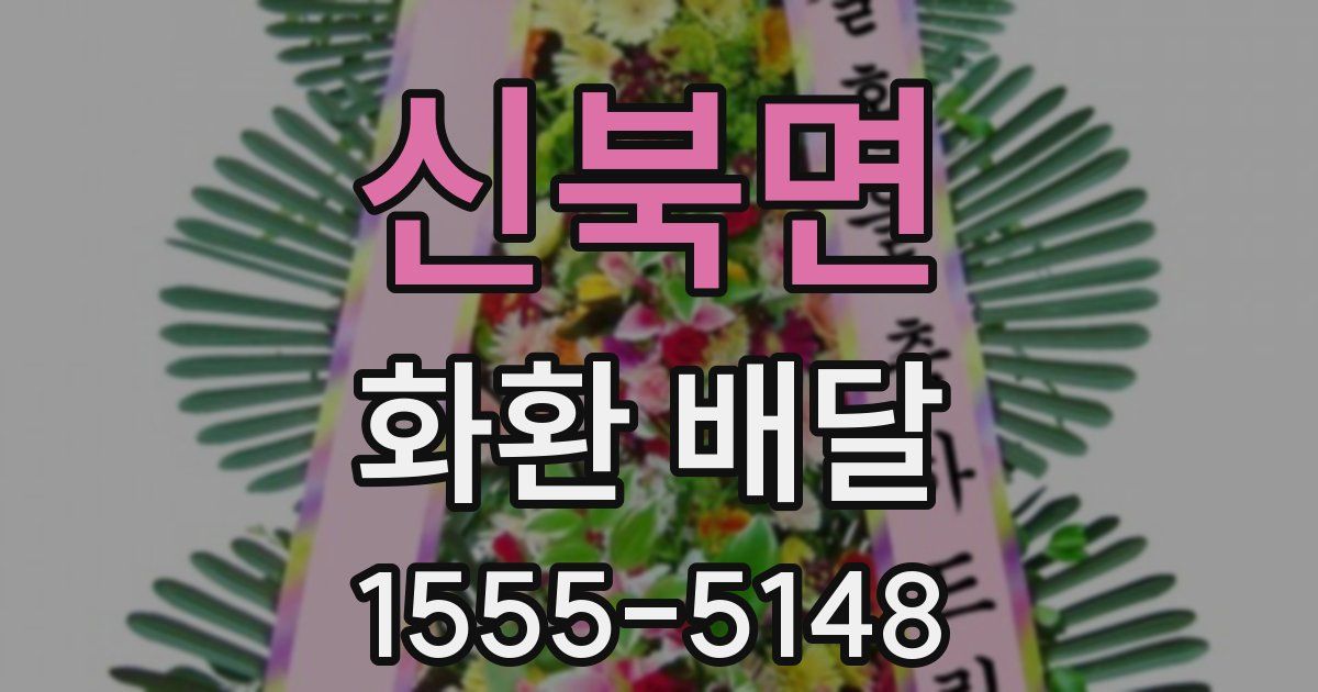 신북면 화환 배달