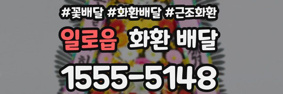 일로읍 화환 배달