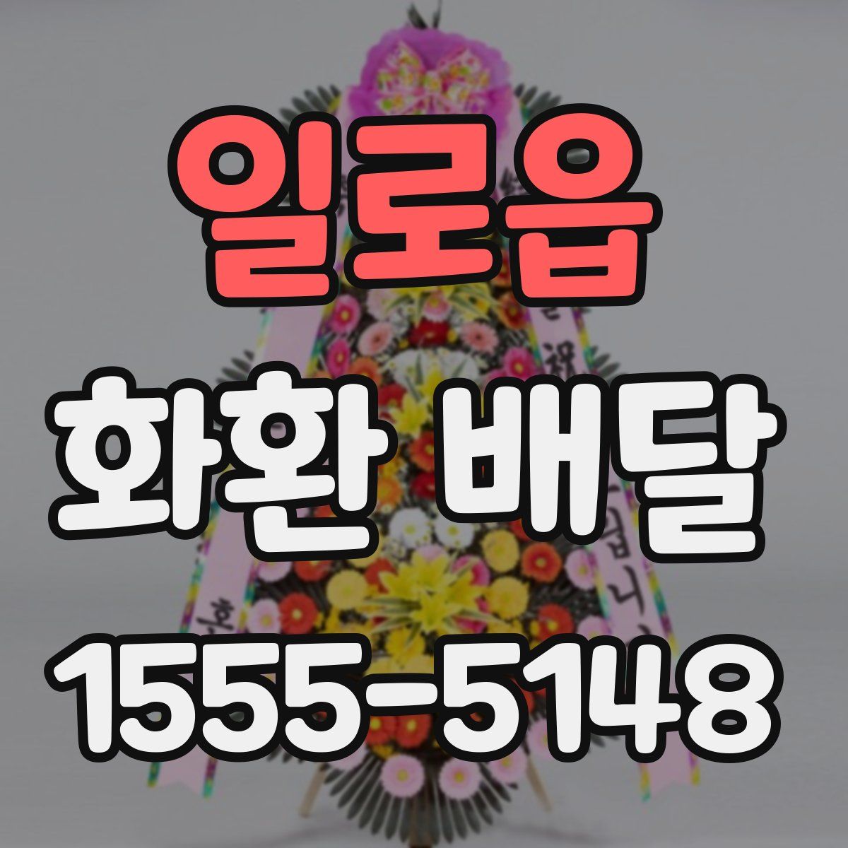 일로읍 화환 배달