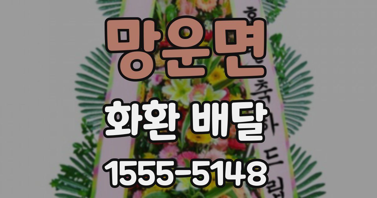 망운면 화환 배달