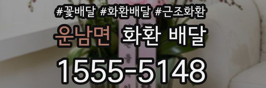 운남면 화환 배달