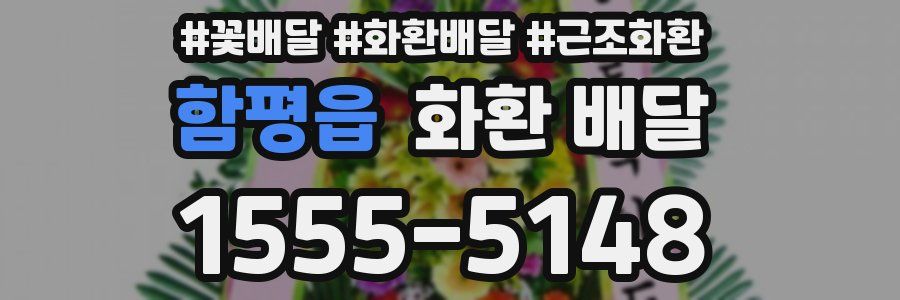 함평읍 화환 배달