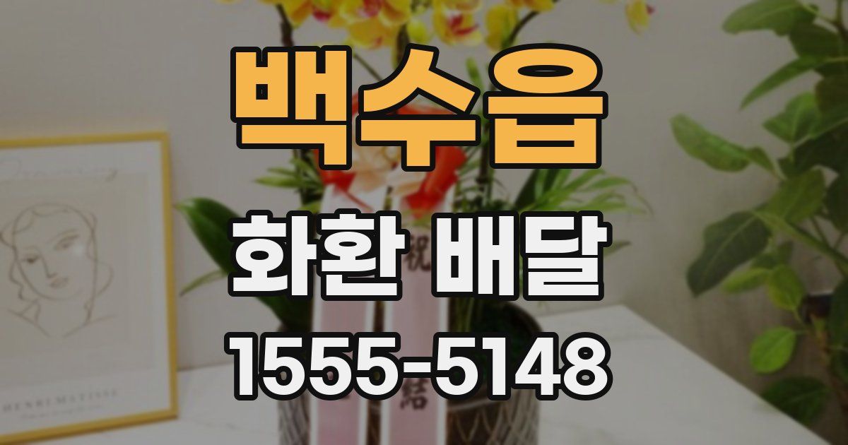 백수읍 화환 배달