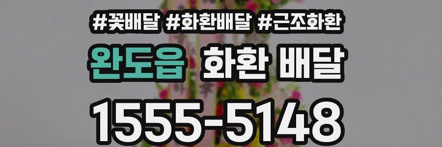 완도읍 화환 배달