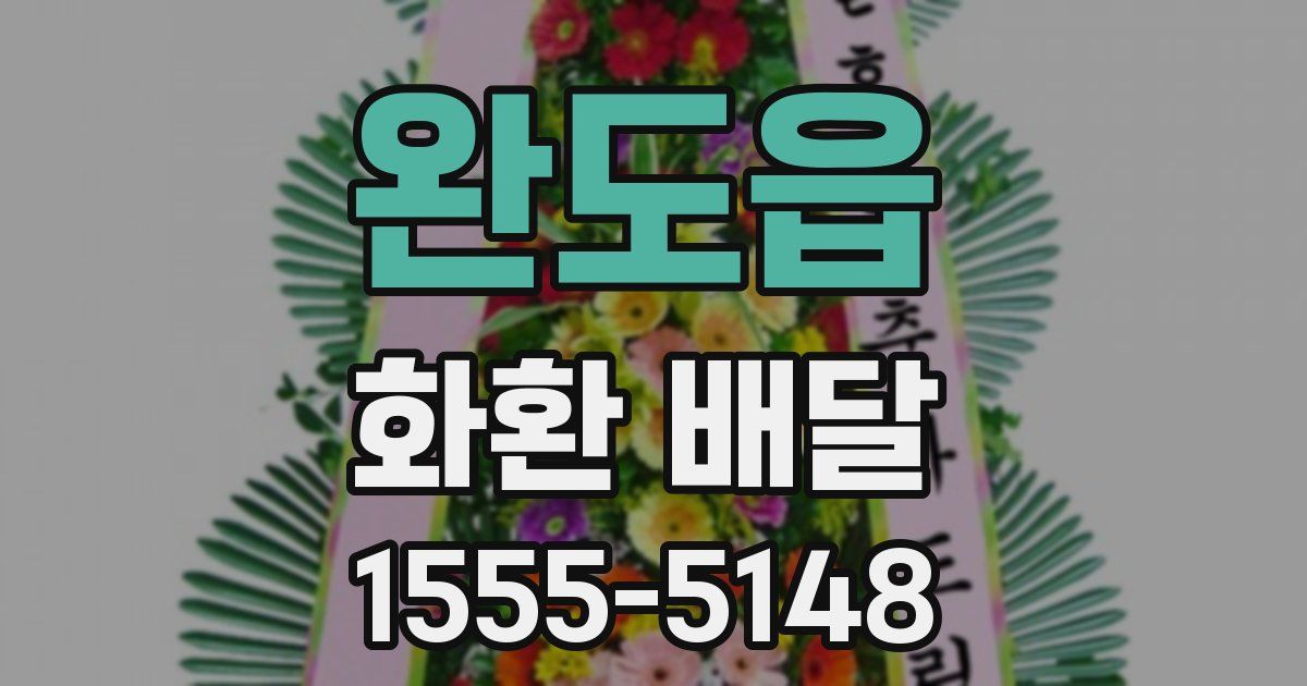 완도읍 화환 배달
