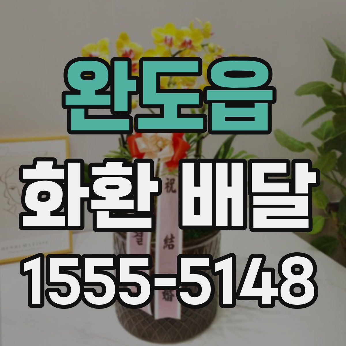완도읍 화환 배달