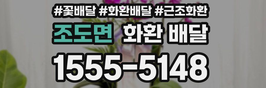 조도면 화환 배달