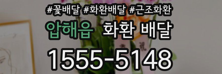압해읍 화환 배달