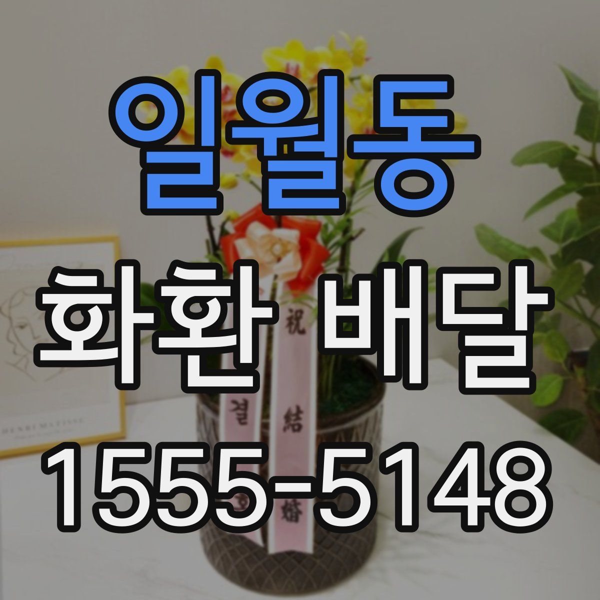 일월동 화환 배달
