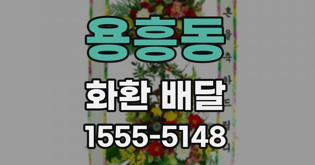 용흥동 화환 배달