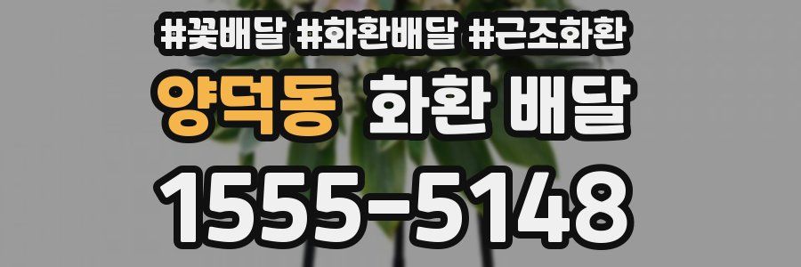 양덕동 화환 배달