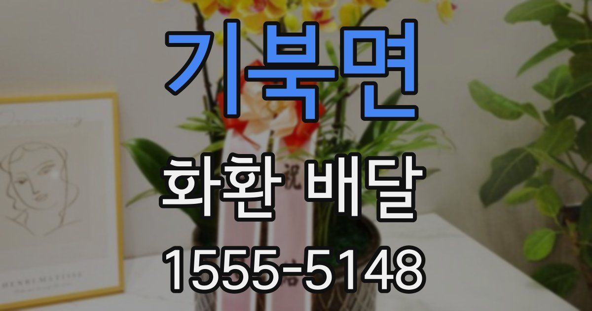 기북면 화환 배달
