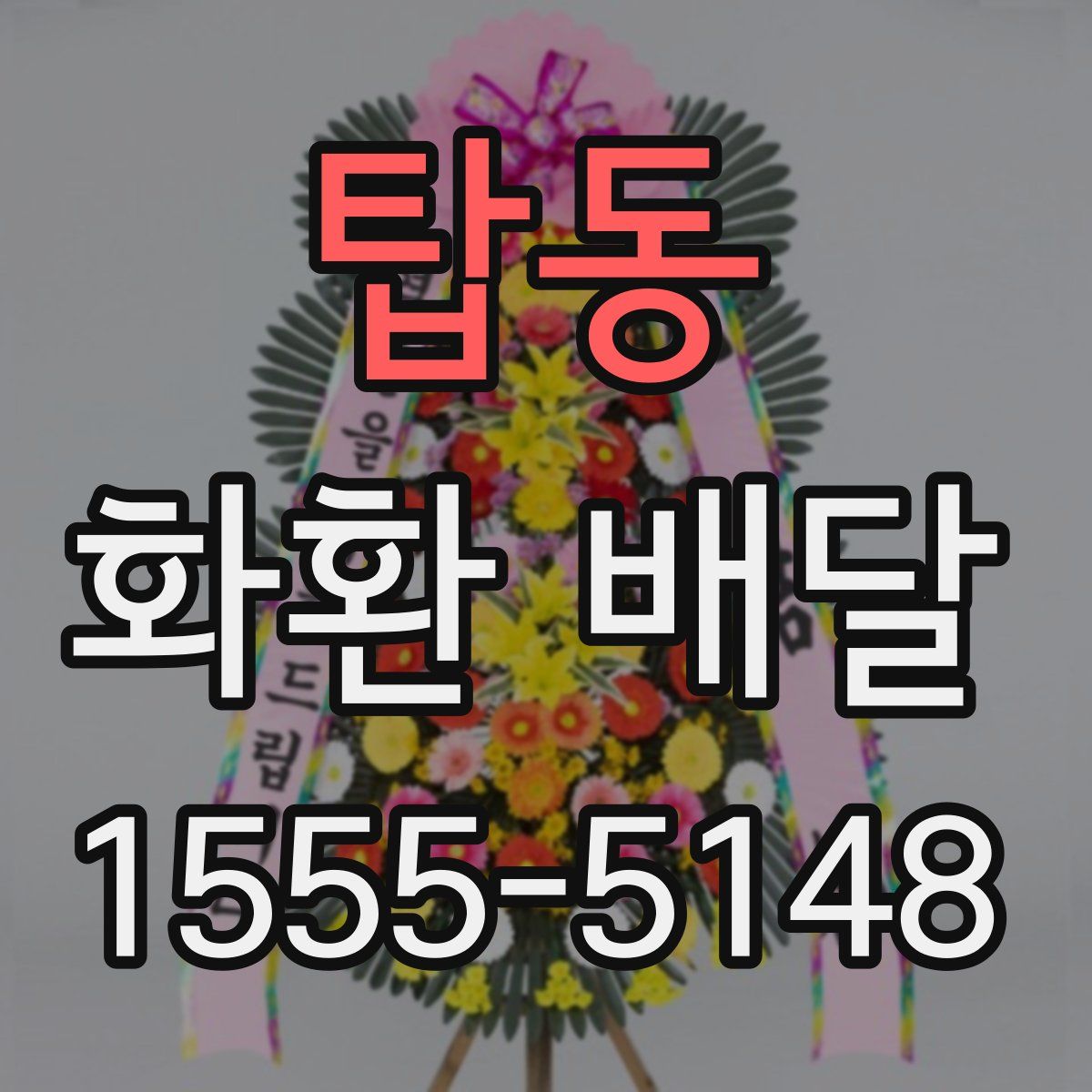 탑동 화환 배달