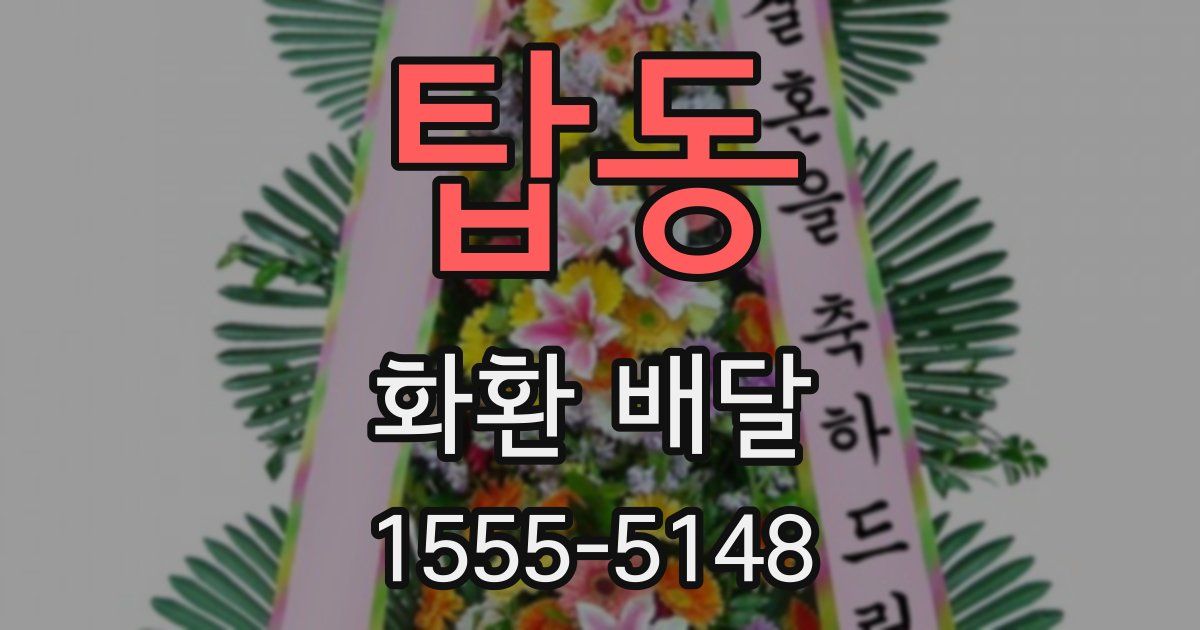 탑동 화환 배달