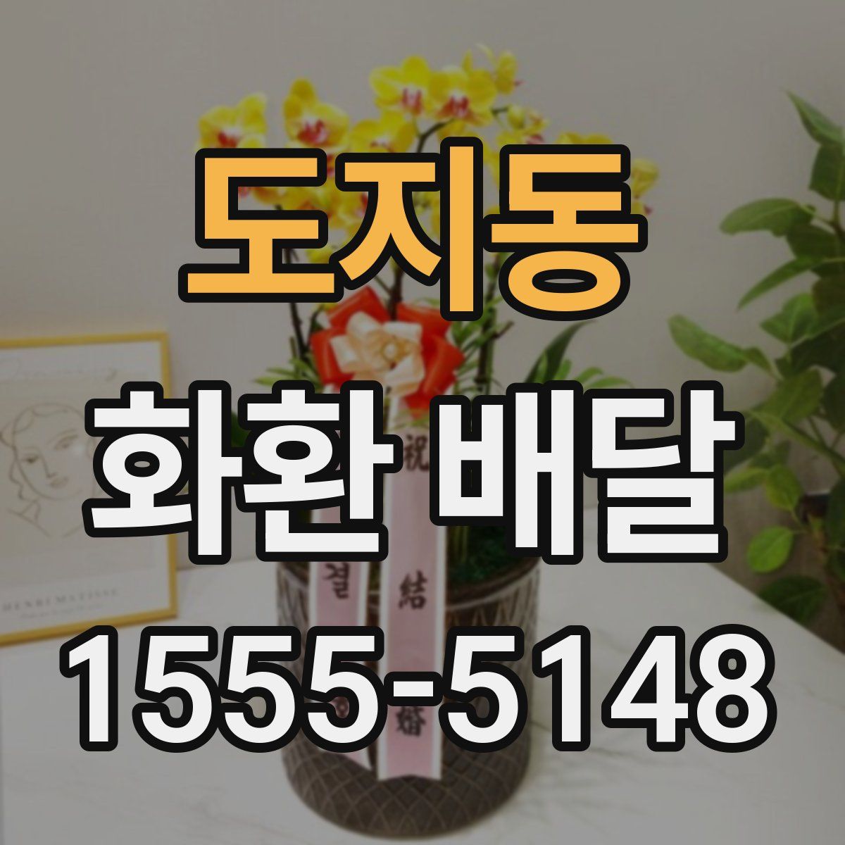도지동 화환 배달