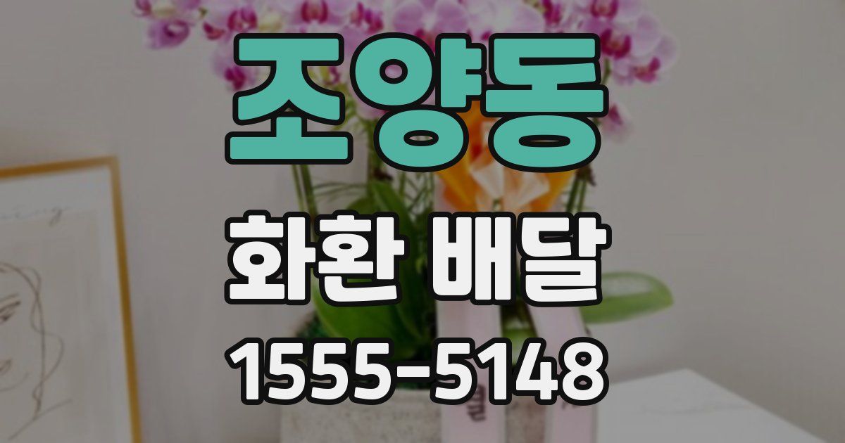조양동 화환 배달
