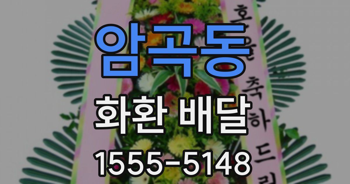 암곡동 화환 배달