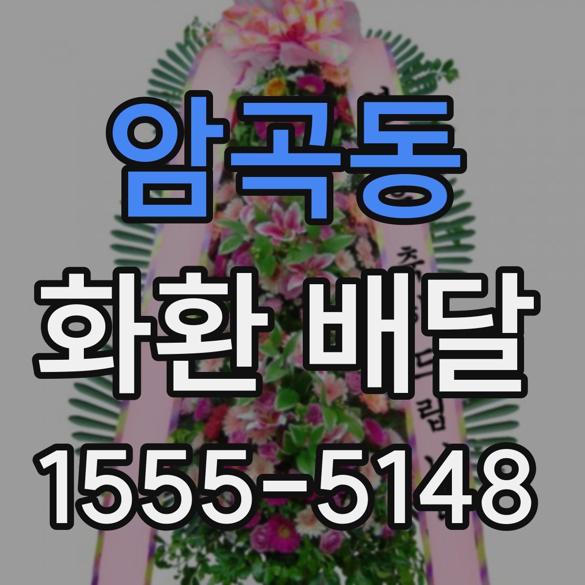 암곡동 화환 배달