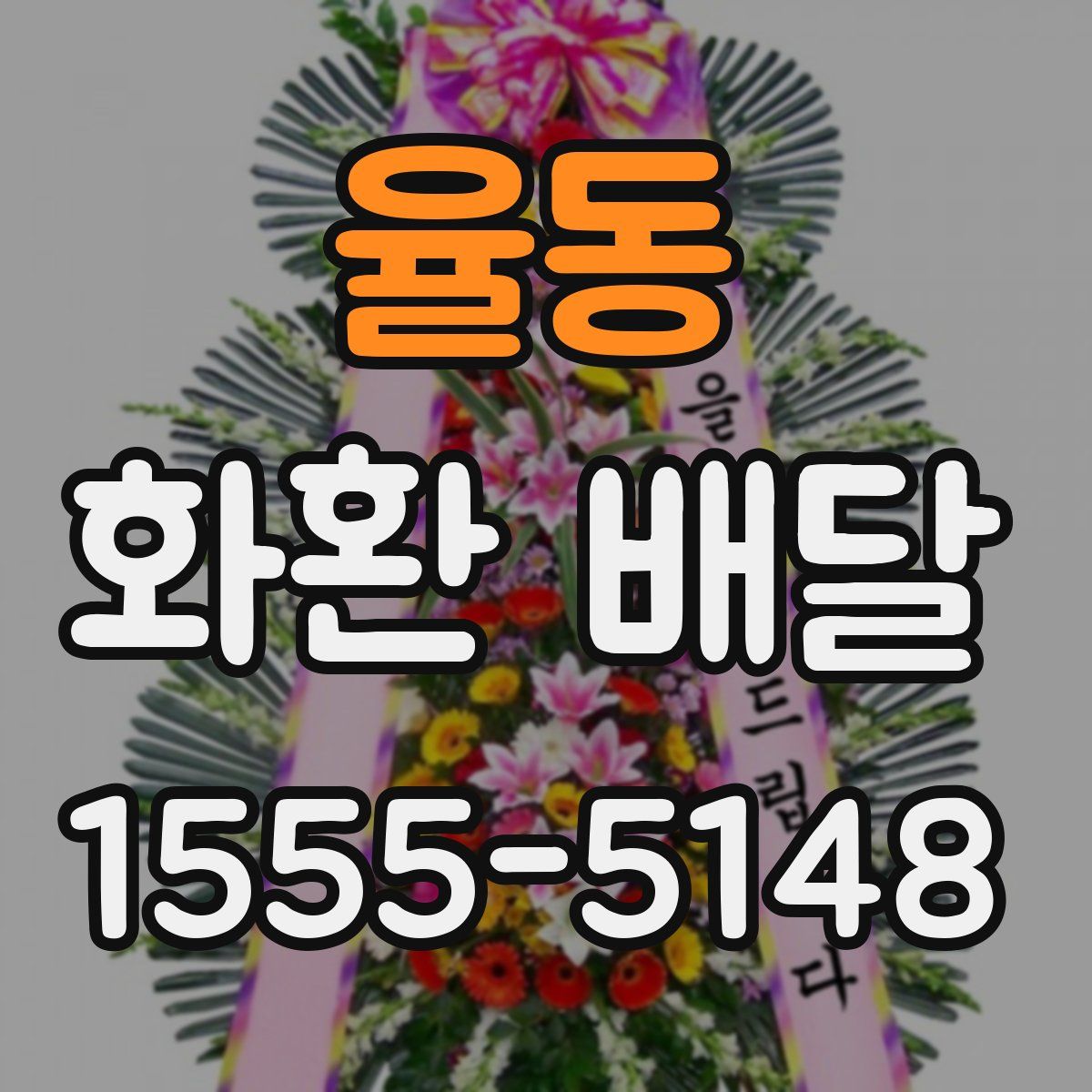 율동 화환 배달