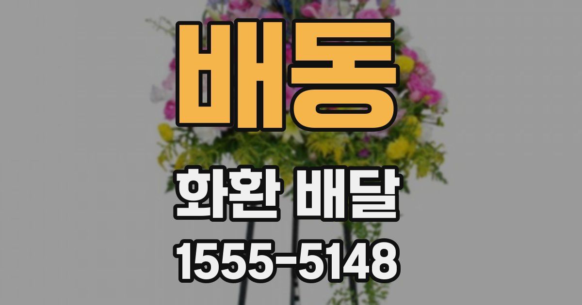 배동 화환 배달
