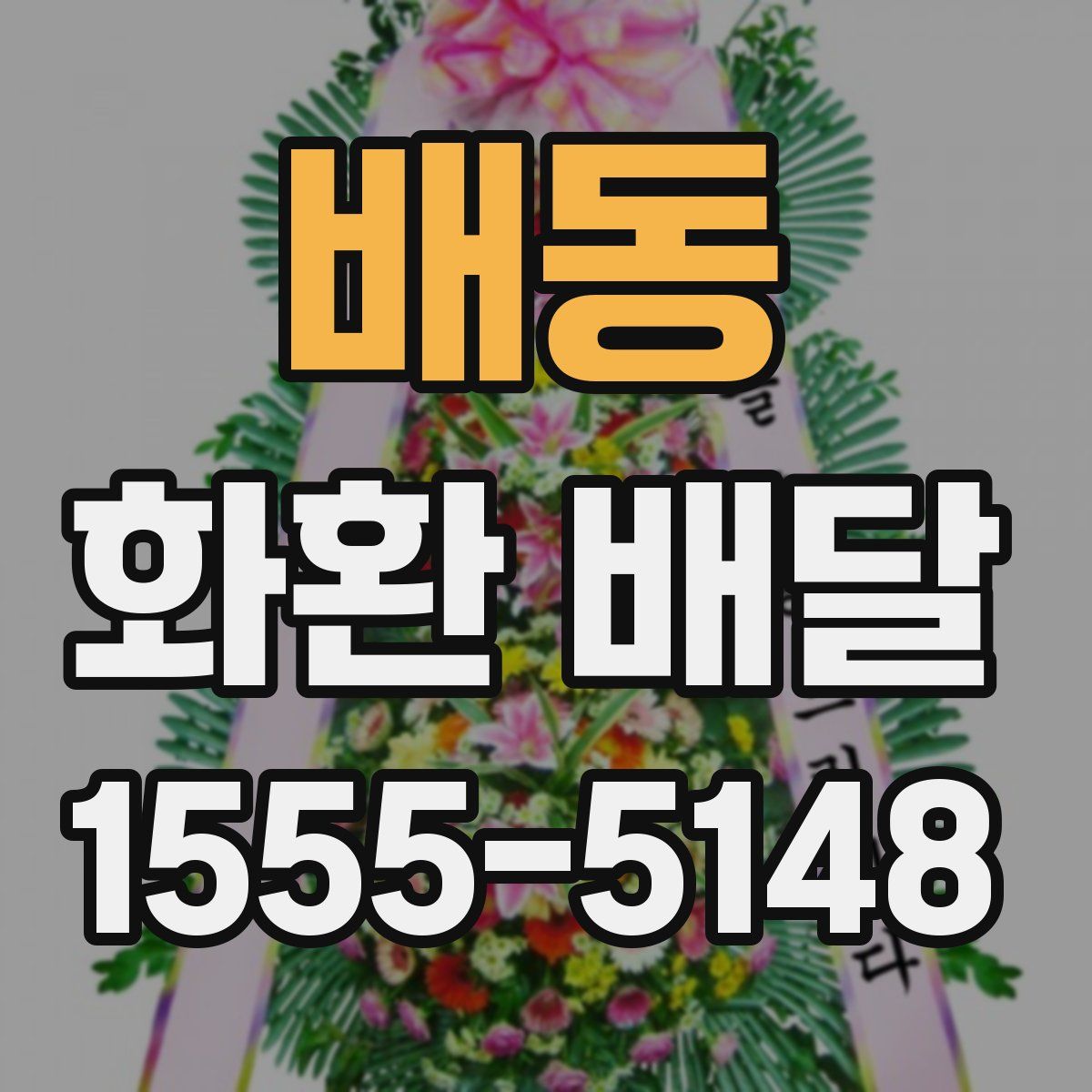 배동 화환 배달