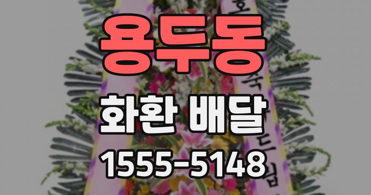 용두동 화환 배달