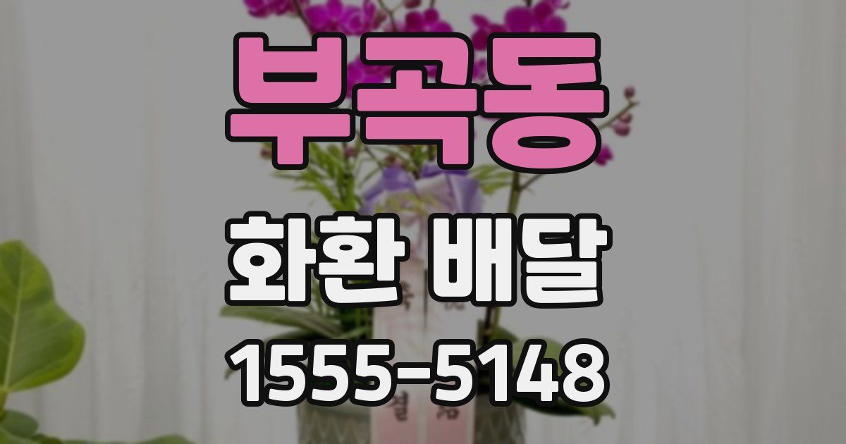 부곡동 화환 배달