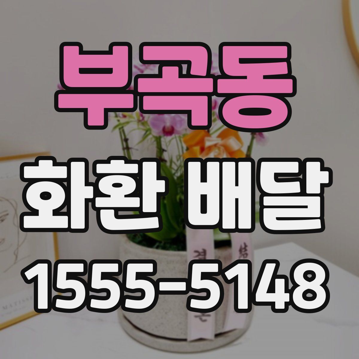 부곡동 화환 배달