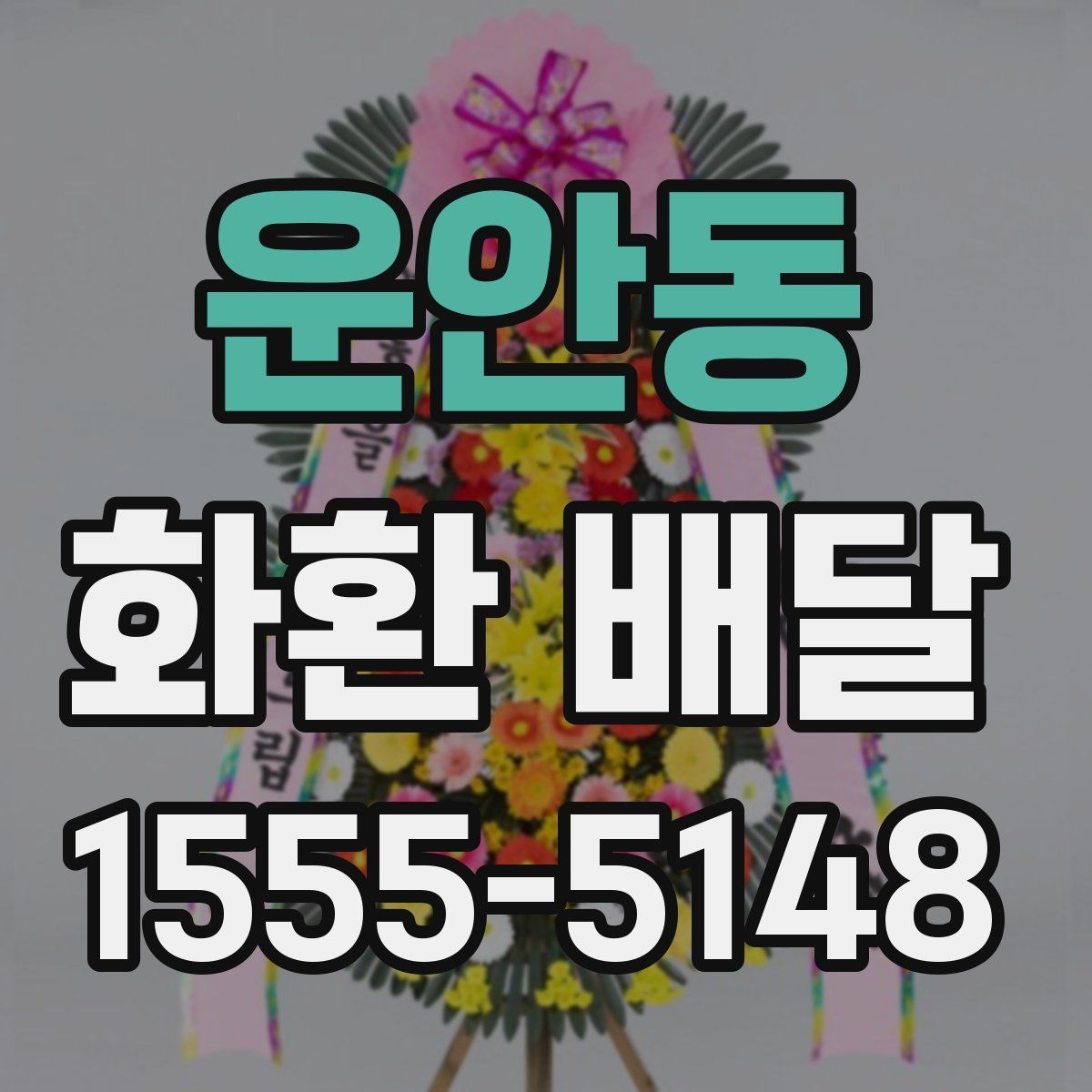 운안동 화환 배달